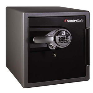 美國Sentry